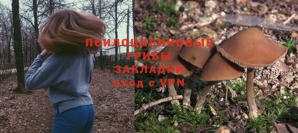 spice Каменск-Шахтинский