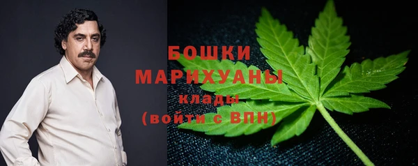 ECSTASY Каменка