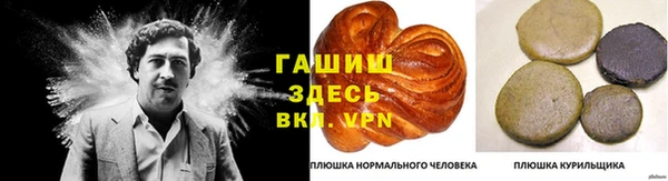 ECSTASY Каменка