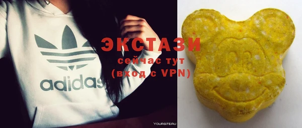 ECSTASY Каменка