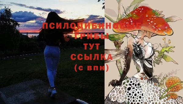 гашишное масло Каменногорск