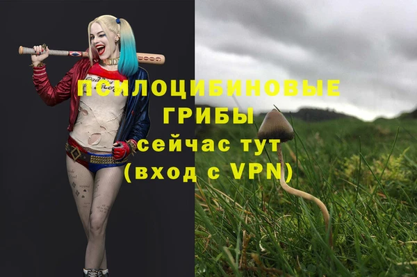 гашишное масло Каменногорск