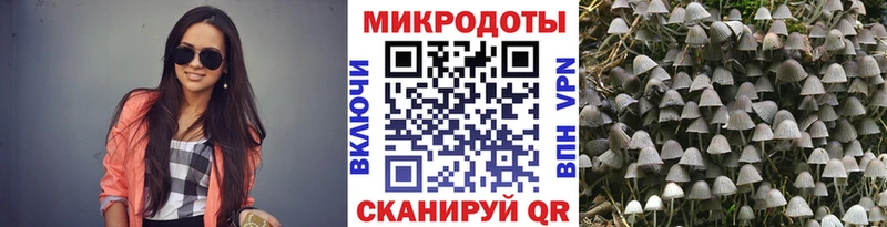 Галлюциногенные грибы MAGIC MUSHROOMS  Купить  Нижняя Тура 